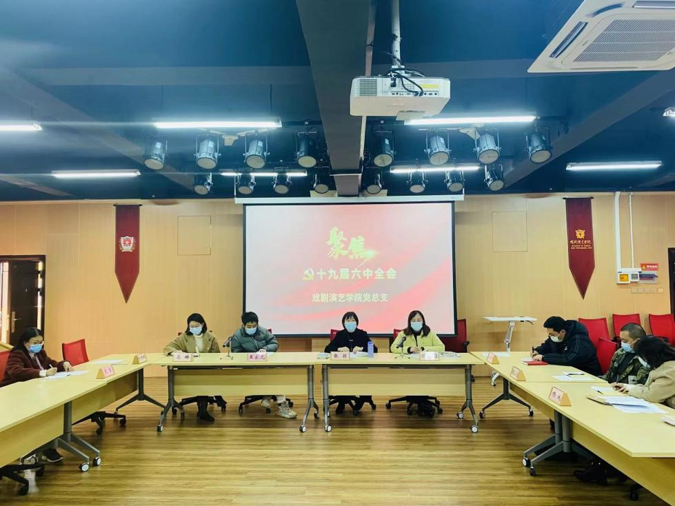 戏剧演艺学院党总支组织学习 十九届六中全会公报精神